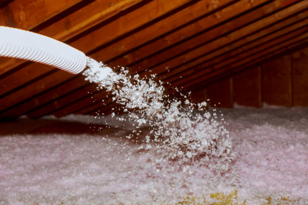Best Insulation for Specific Applications in Pasadena, CA